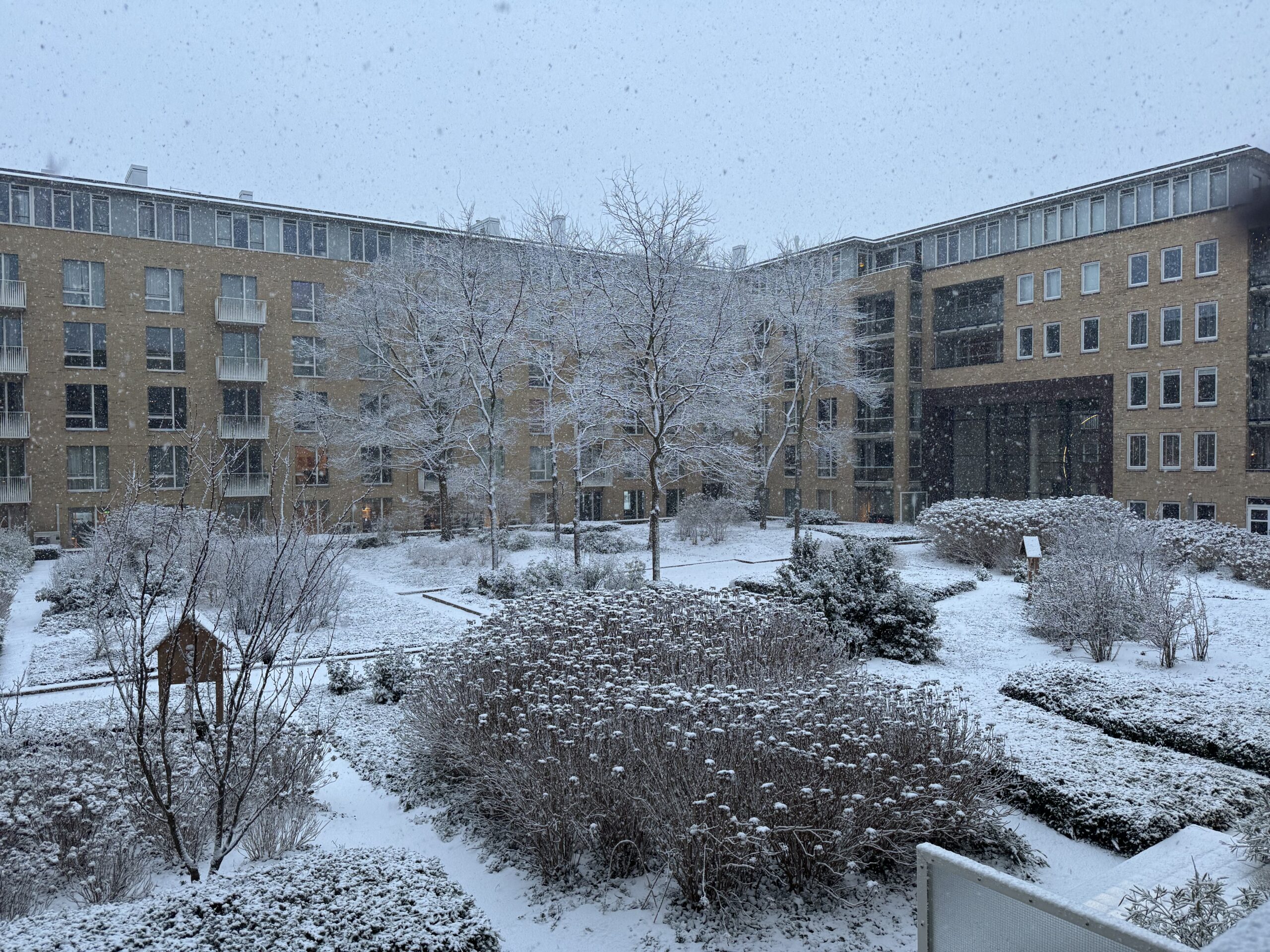 Winter